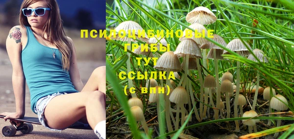 гашик Алексин