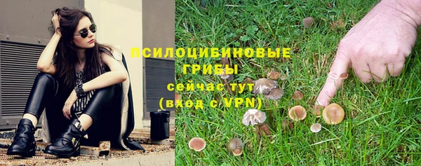 твердый Алексеевка