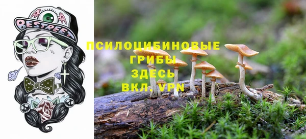твердый Алексеевка