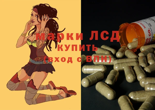 гашик Алексин