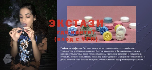 гашик Алексин