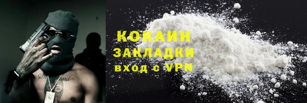 гашик Алексин